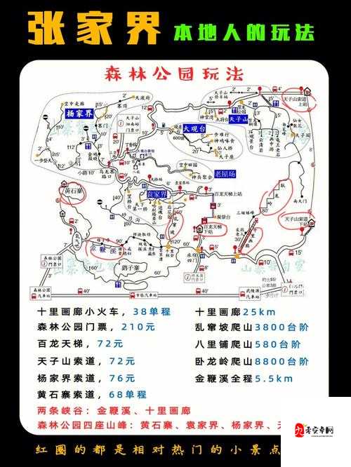 征途手机版丰收节攻略指南，三大主流玩法深度剖析